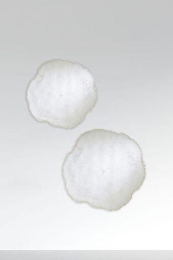 Arbo Ice Set